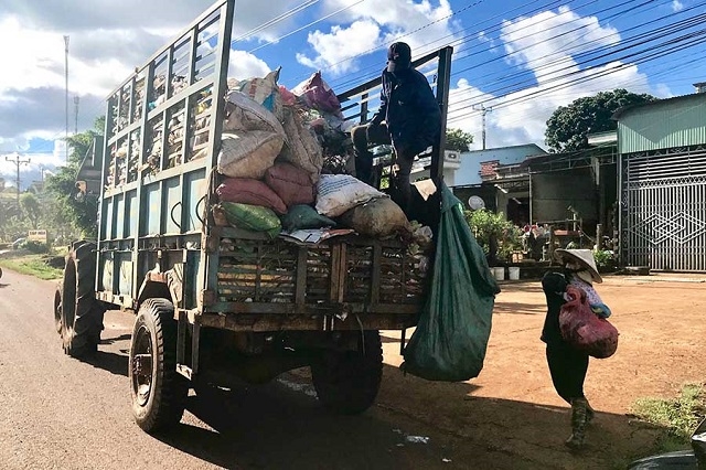 Công tác thu gom rác thải được HTX thực hiện hiệu quả