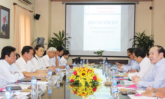 Đoàn công tác Liên minh HTX Việt Nam làm việc với Tỉnh ủy, UBND tỉnh Đồng Tháp