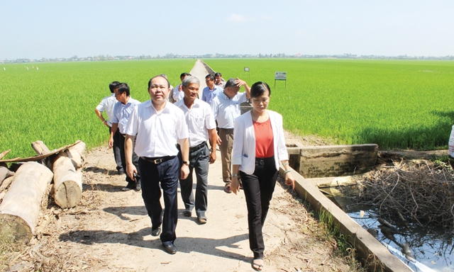 Chủ tịch Nguyễn Ngọc Bảo và Đoàn công tác khảo sát HTX Nông nghiệp Tân Bình