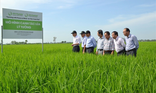 Mô hình Canh tác lúa lý tưởng ở Đồng Tháp đang được nhân rộng ra nhiều địa phương ở Đồng bằng sông Cửu Long