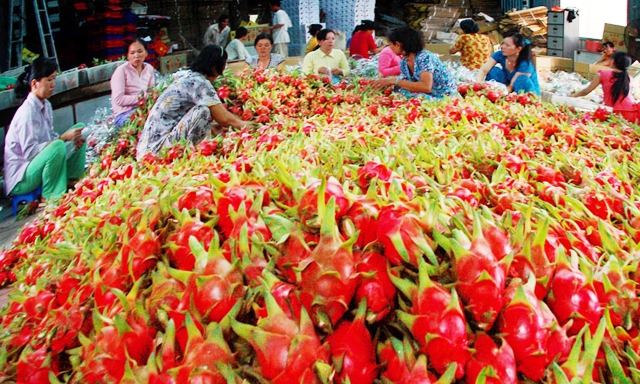 Nông sản Việt có nhiều cơ hội tại thị trường EU