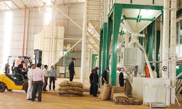 Nhiều DN nước ngoài đã đặt các nhà máy chế biến sâu tại Việt Nam