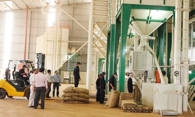 Nhiều DN nước ngoài đã đặt các nhà máy chế biến sâu tại Việt Nam