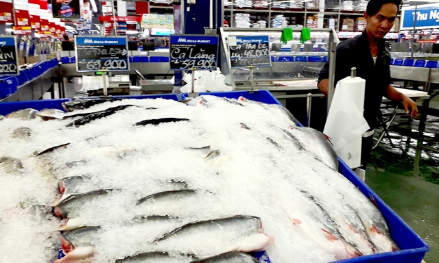 Các DN cần thận trọng quan sát khi Trung Quốc bắt đầu nuôi cá tra