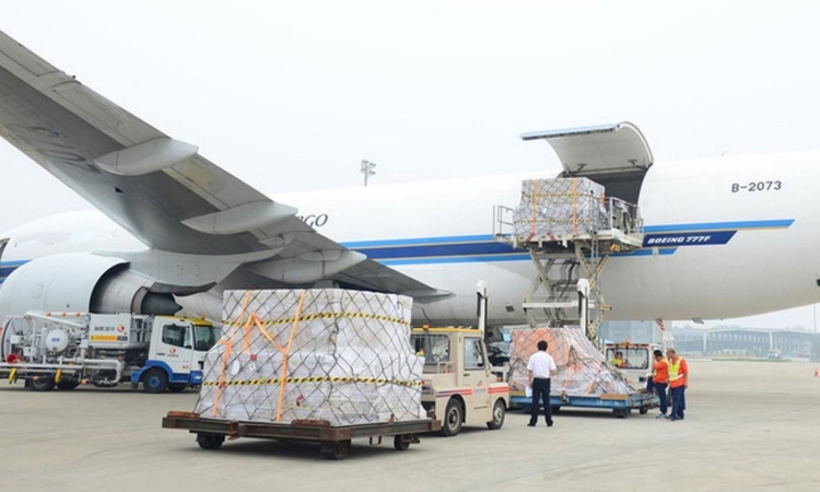 Chuẩn bị trả cổ tức, SCS hút dòng tiền