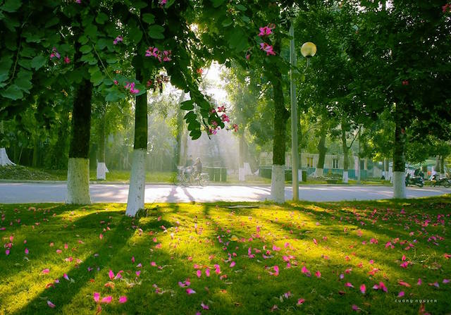 Vị trí chiến lược là giải pháp quan trọng đầu tiên tạo ra giá trị cho bất động sản