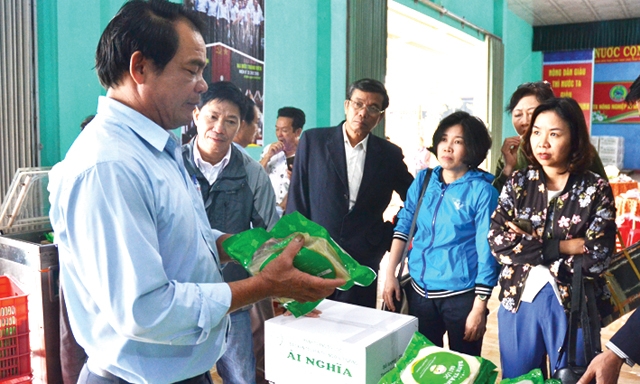 Giám đốc HTX Ái Nghĩa Trương Cảm chia sẻ kinh nghiệm với đoàn