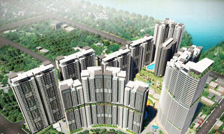 Người nhà chủ tịch cứu giá, VPH bật tăng