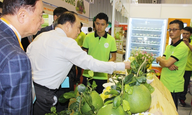 XK nông sản vào thị trường Trung Quốc nên tuân thủ xu hướng chính ngạch