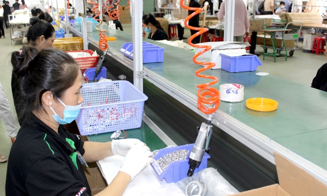 DN Việt gia công chủ yếu chỉ hưởng phần phí