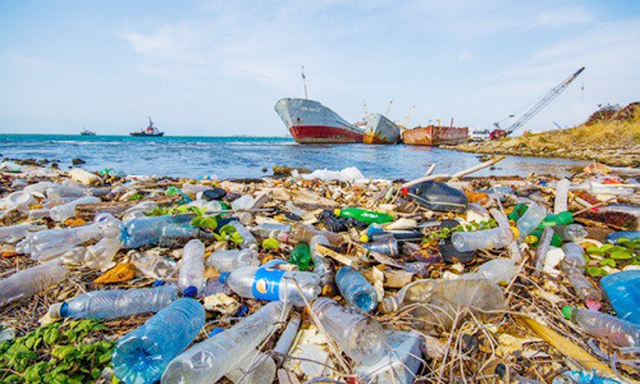 Tất cả các đại dương trên trái đất đều đang ở trong tình trạng ô nhiễm rác