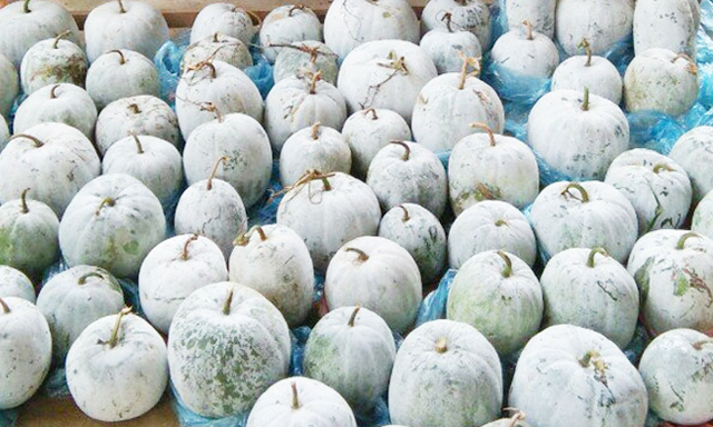 Sản phẩm bí xanh của HTX