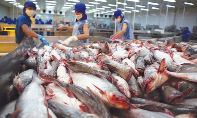 Phụ phẩm từ cá tra có thể sản xuất được nhiều sản phẩm có giá trị cao