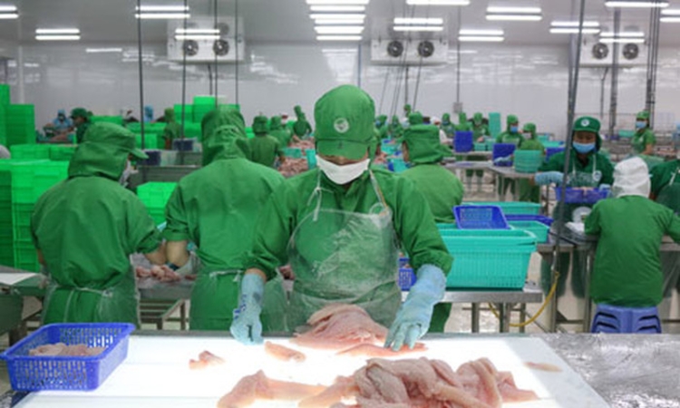 ASM tiếp tục “dò đáy”