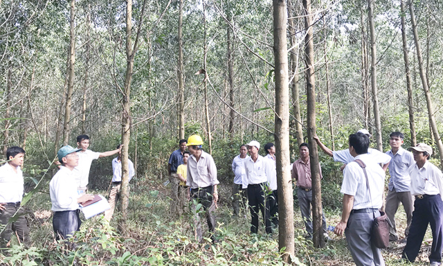 Kiểm tra tình hình phát triển cây của HTX