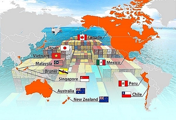 Hoàn thiện kế hoạch thực hiện hiệp định CPTPP (Nguồn: Internet)