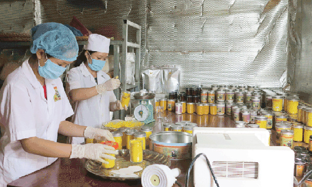 Thành viên HTX đóng gói sản phẩm tinh bột nghệ