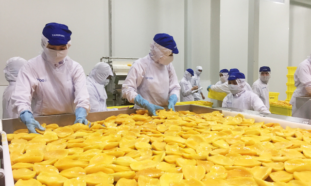 Phát triển công nghệ chế biến sẽ giúp XK rau quả Việt tăng thêm nhiều giá trị