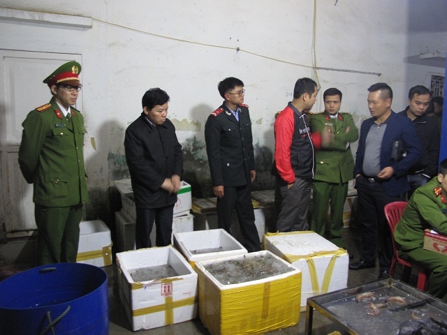 Bắt tại trận bơm tạp chất vào 60 kg tôm tại Hải Phòng