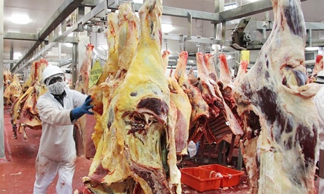 Việc nhập khẩu thịt bò của Anh vào Nhật sẽ được khởi động lại