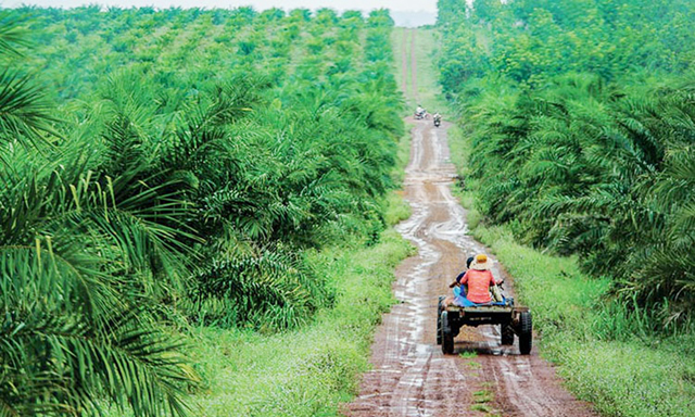 DN phải nắm rõ pháp luật nước sở tại để tránh rủi ro