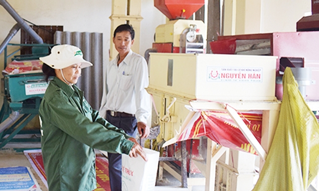 Gạo P6 Lệ Thủy của HTX đã được Cục Sở hữu trí tuệ công nhận nhãn hiệu