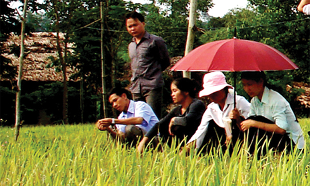 HTX đã kết hợp giữa việc tổ chức kinh doanh và việc tăng gia, sản xuất tạo điều kiện cho xã viên tăng thêm thu nhập