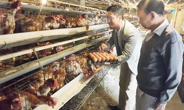 Trang trại gà gần 10.000 con của HTX