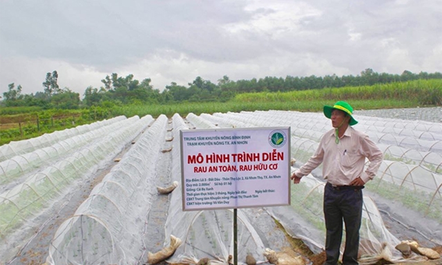 Mô hình sản xuất rau an toàn, rau hữu cơ tại HTX