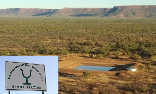 Một đại gia Việt bỏ 135 triệu USD mua 3 trang trại ở Australia