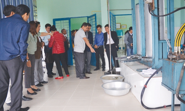 Tham quan cơ sở chế biến dầu lạc của HTX Điện Quang, Quảng Nam