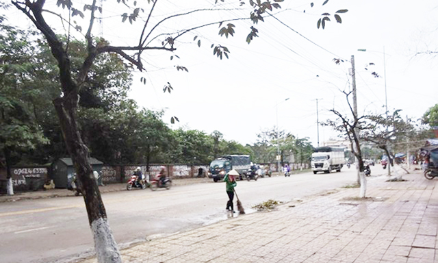 Hoạt động vệ sinh môi trường của HTX