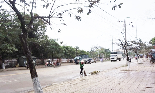 Hoạt động vệ sinh môi trường của HTX