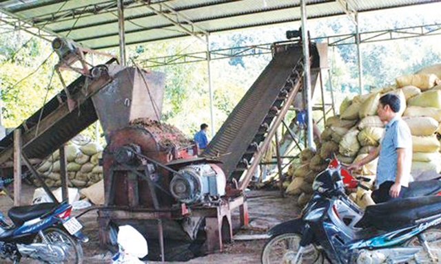 Dàn máy chế biến quế được HTX Công Tâm mua sau khi vay vốn từ Quỹ phát triển HTX