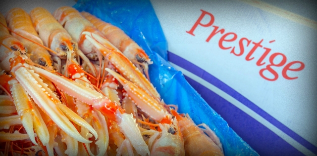 Cổ phiếu AGF rơi vào chuỗi giảm sâu mất mốc 4.000 đồng/cp