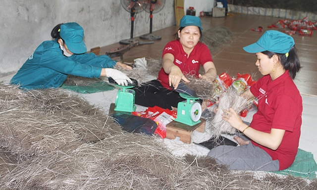 HTX đã tạo việc làm thường xuyên cho 20 lao động