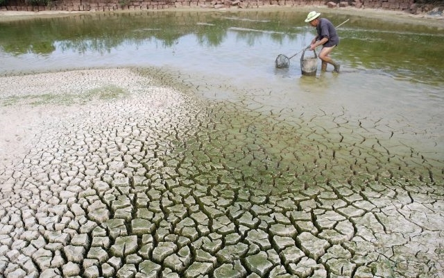 Khuyến khích khởi nghiệp ứng phó biến đổi khí hậu (Ảnh: Internet)