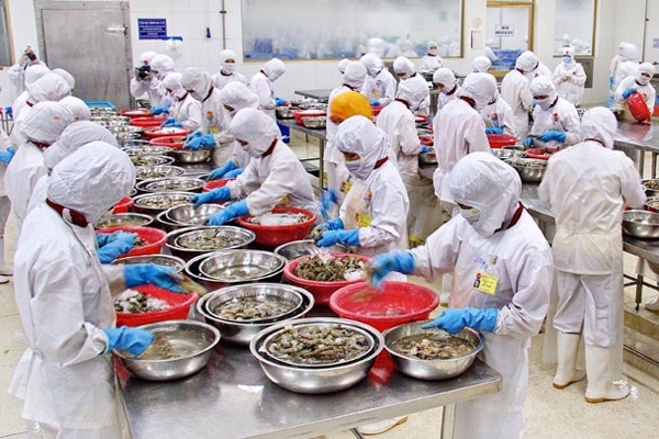 XK tôm Việt Nam năm 2019 dự kiến tăng trưởng tốt và đạt trên 4 tỷ USD (Ảnh: Internet)