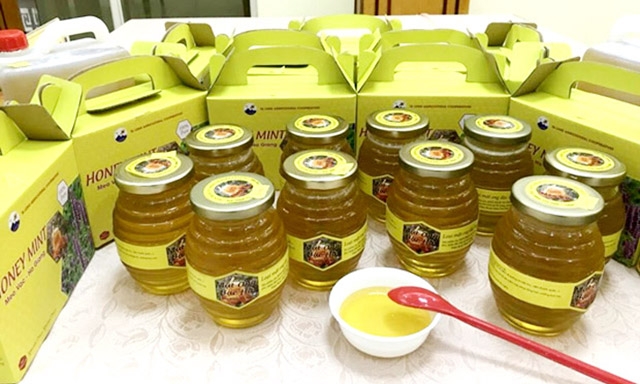 Sản phẩm mật ong bạc hà của HTX