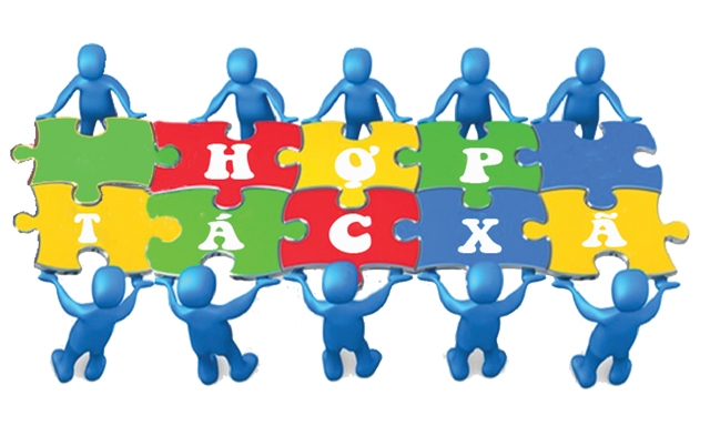 Lợi thế dựa trên sức mạnh của số đông, của quy mô lớn đã làm cho HTX trở thành giá trị phổ quát của nhân loại