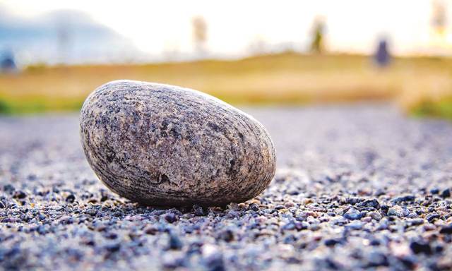 Mỗi ngày, mỗi người hãy tìm kiếm cho mình một viên đá và lát nó trên con đường để đi đến thành công