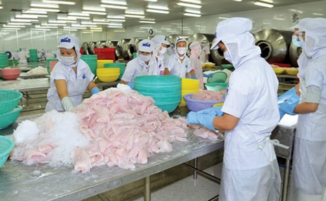 HVG đã có chuỗi ngày giảm từ mức giá 5.100 đồng về mức 4.880 đồng/cp