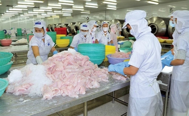 HVG đã có chuỗi ngày giảm từ mức giá 5.100 đồng về mức 4.880 đồng/cp