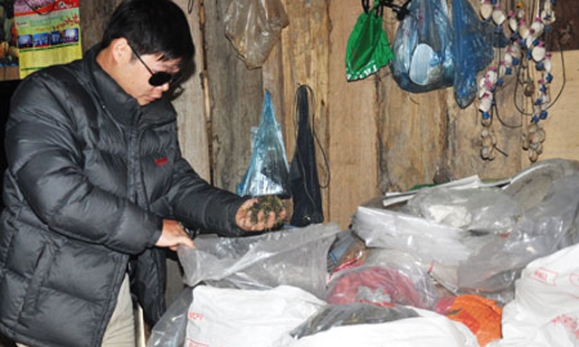 Đóng gói sản phẩm dược liệu của HTX