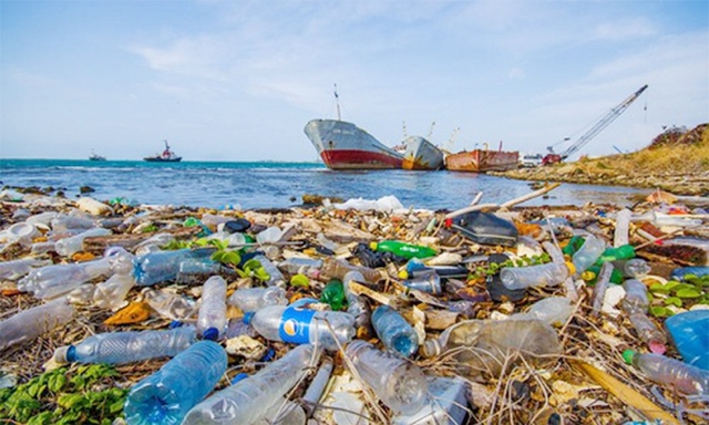 Vào năm 2050, các đại dương sẽ có nhiều nhựa hơn cá