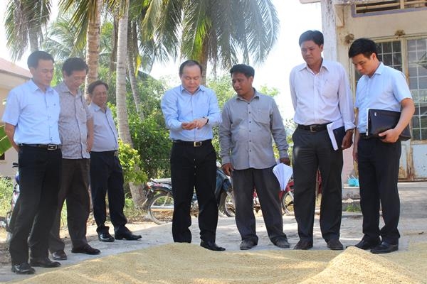 Chủ tịch Nguyễn Ngọc Bảo (áo xanh-đứng giữa), thăm một mô hình HTX ở Trà Vinh.