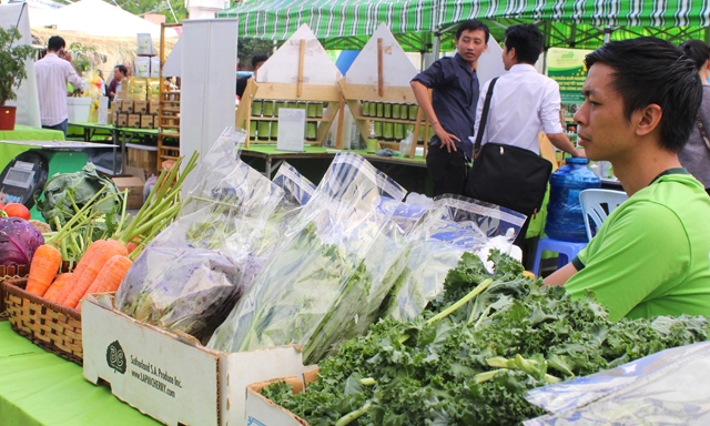 Việc chuyển đổi hộ kinh doanh cá thể lên DN cần chính sách đủ mạnh