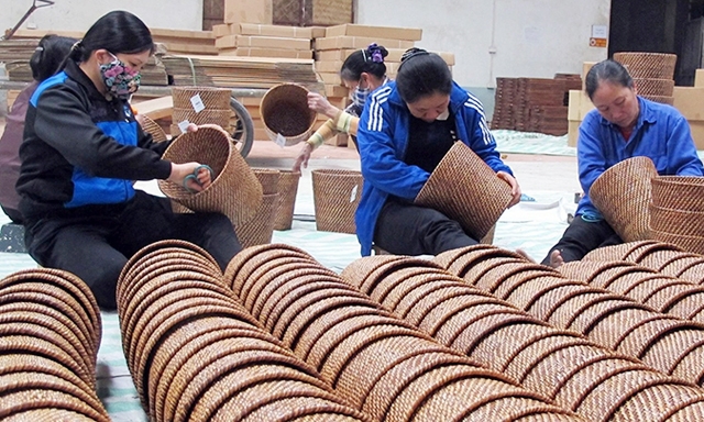 Có hộ kinh doanh với hàng trăm lao động nhưng không chịu lớn thành DN