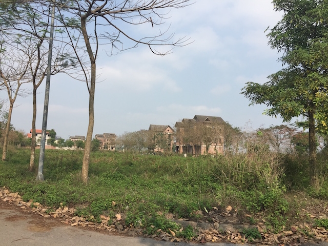 Nhiều lô đất sau một thời gian không triển khai xây dựng khiến cỏ mọc um tùm