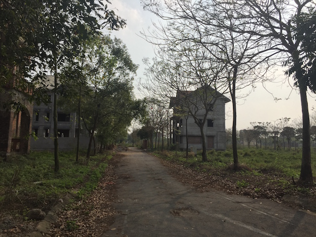 Đường đi lối lại không có người chăm sóc dẫn đến lá cây phủ đầy